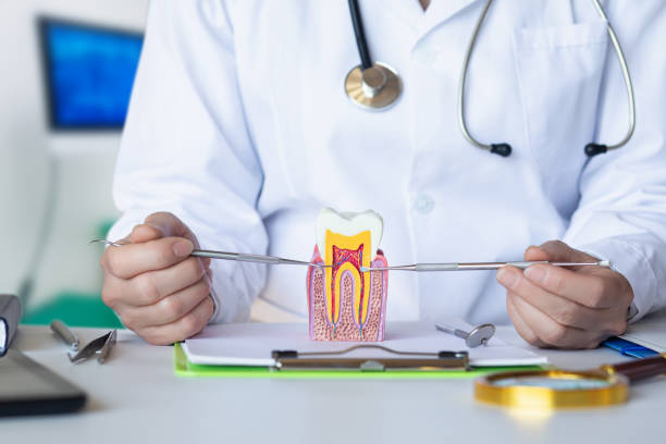 Best Mobile Emergency Dentist in Russiaville, IN
